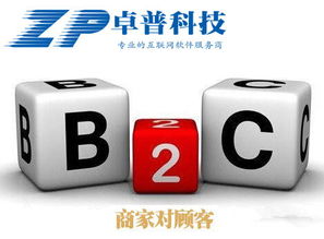 卓普科技为您打造独一无二的b2c在线购物商城